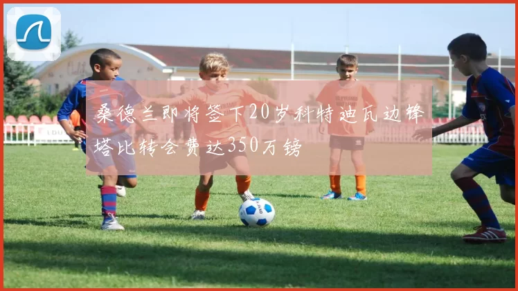 桑德兰即将签下20岁科特迪瓦边锋塔比转会费达350万镑