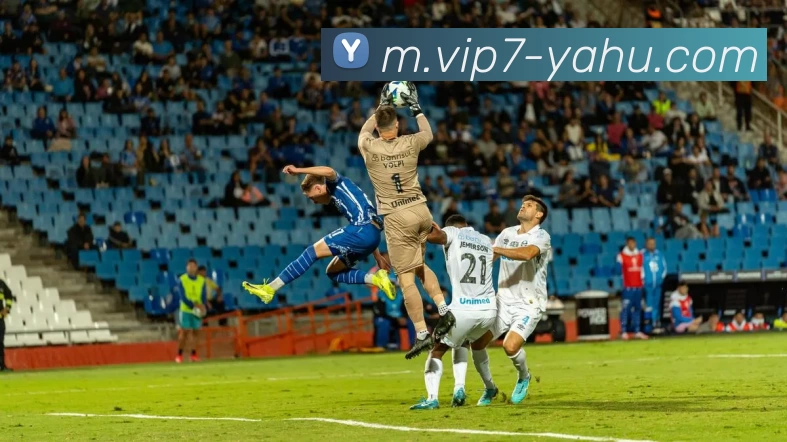 雅虎体育平台生态图